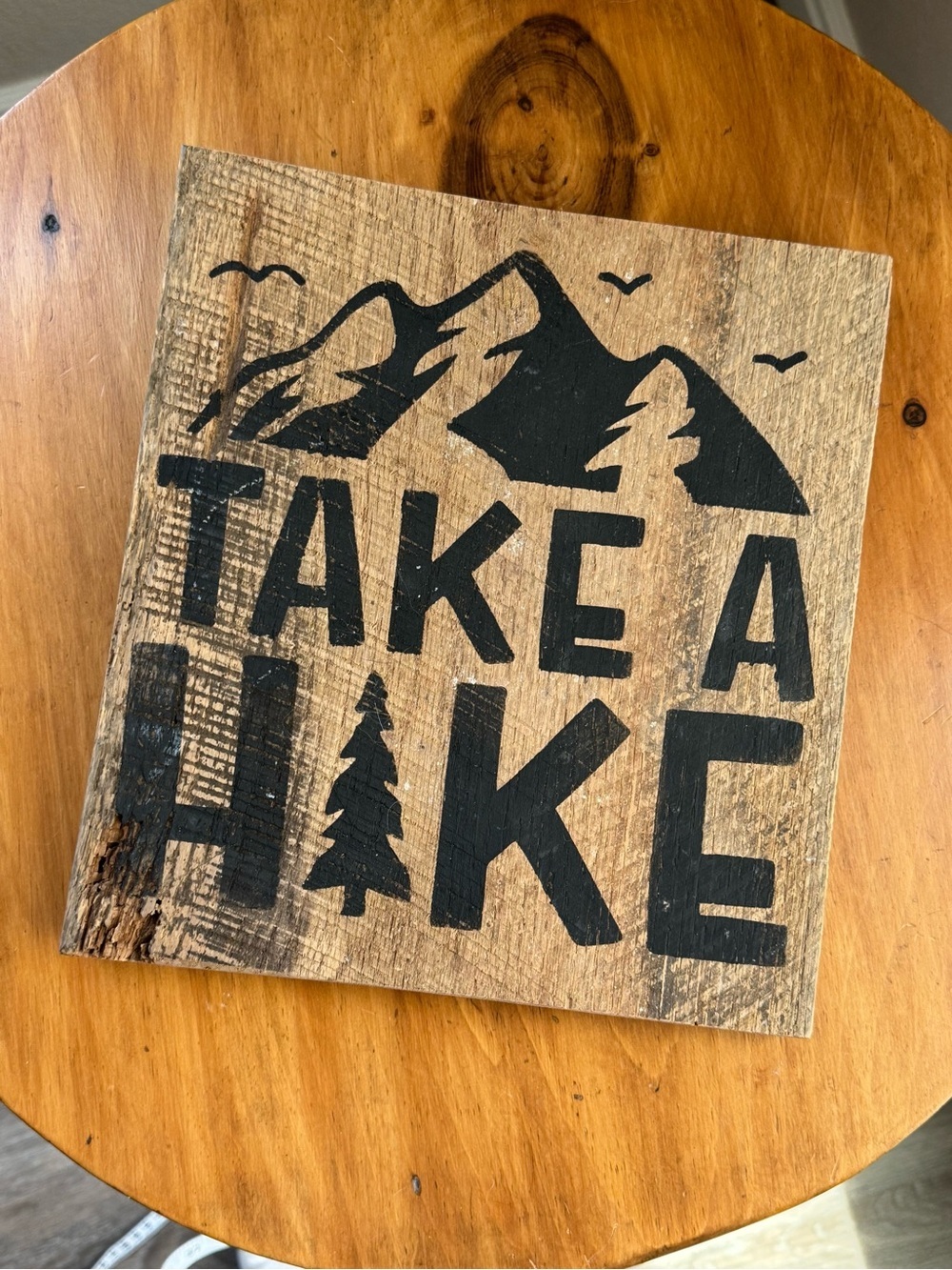 “Take A Hike” Reclaimed Wood Home Decor Sign, Outdoor, Nature, Mountain, Forest